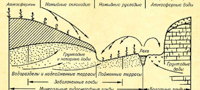 Виды грунтовых вод и их особенности