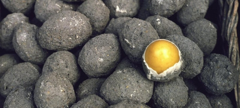 тухлое яйцо тухлое яйцо