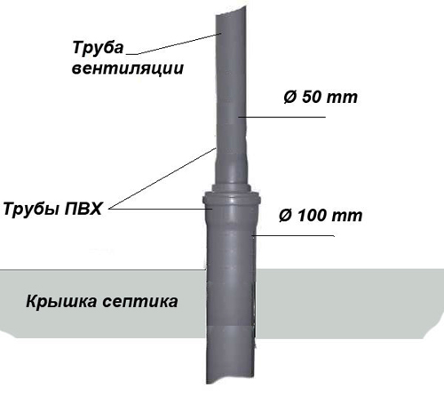 Наруж септ