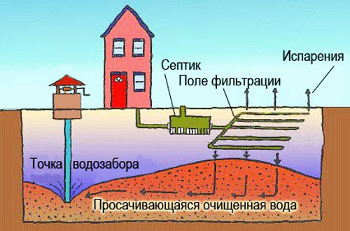 Поле фильтр 2