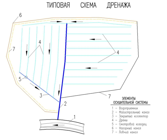 Схема дренажа участка